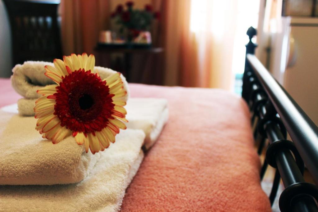 Filyra Pension Nauplion Cameră foto